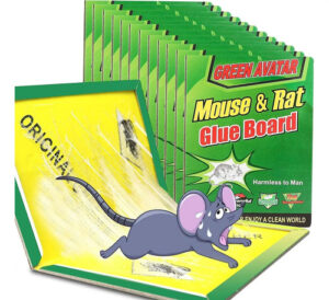 Pack 10 Laminas Trampa Ratones Adhesiva Ratón