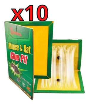 10 Trampa Raton Pegajosa Adhesiva Control Atrapa Pegamento