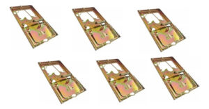 6 Trampa Raton Metalica Grande 82x165mm Roedores Ratas